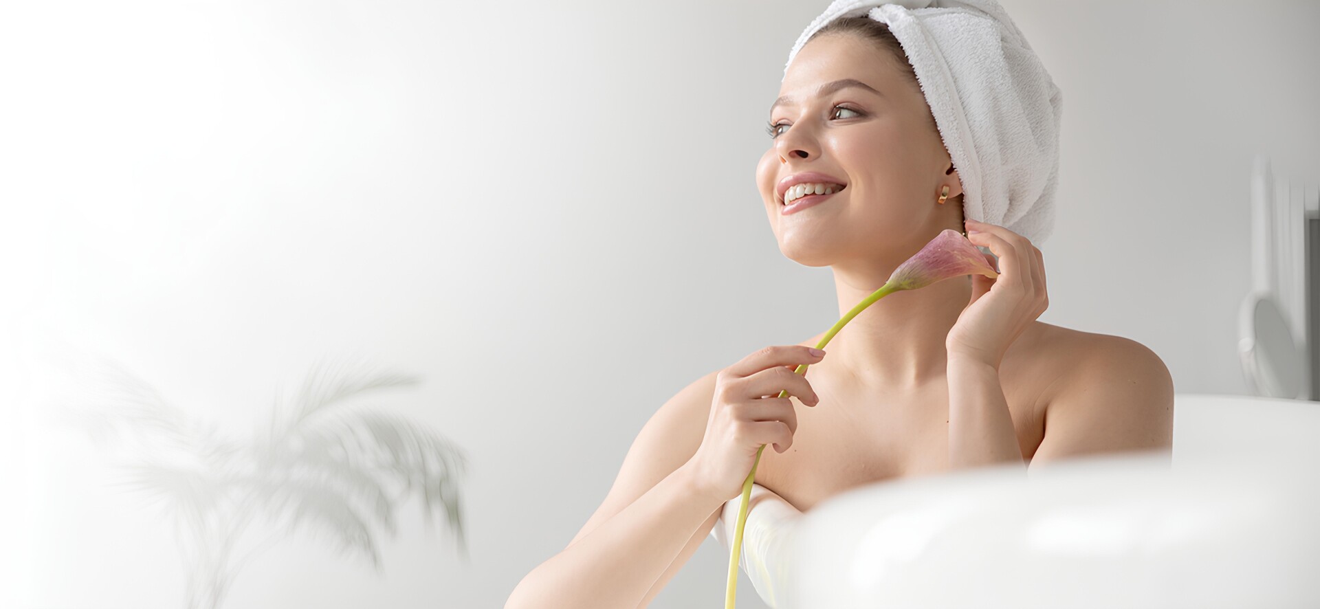 Innovación y calidad en productos para el hogar, instituciones e industrias